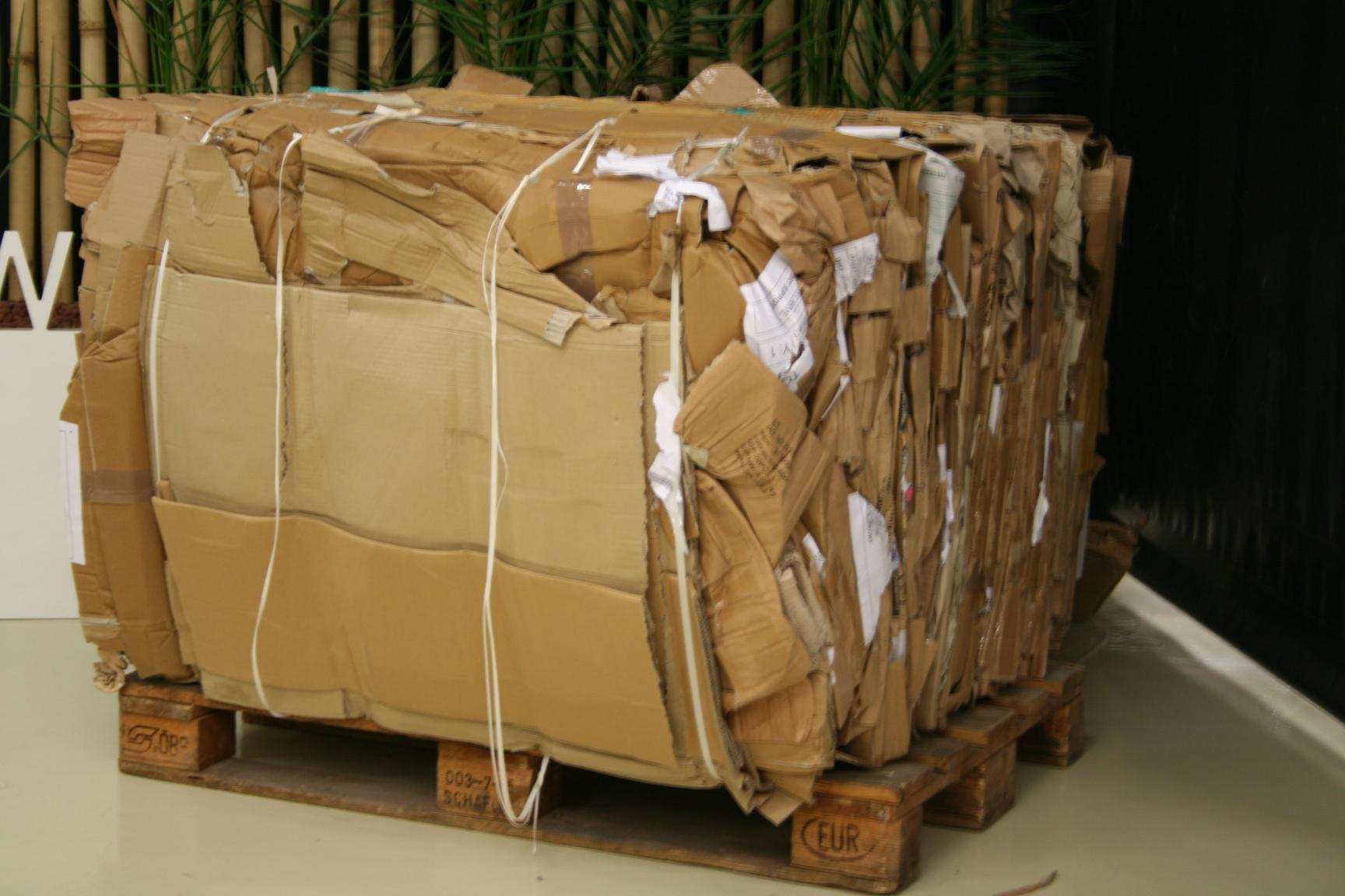 Cardboard